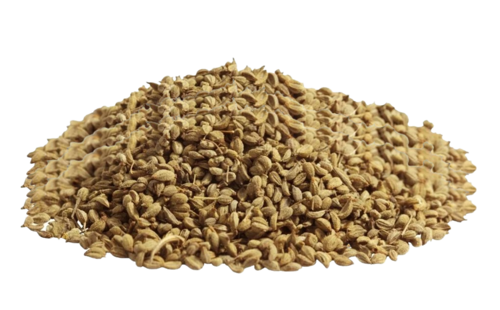 Ajwain