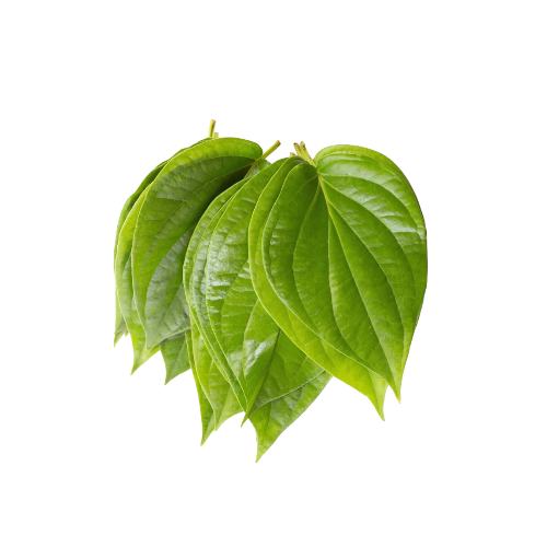 Betel Leaf