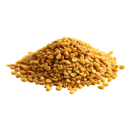 Fenugreek