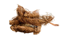 Jatamansi