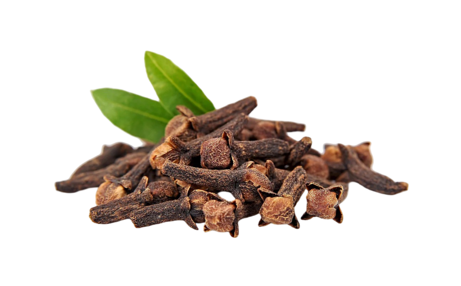 Clove
