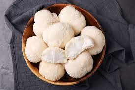 Lion's Mane