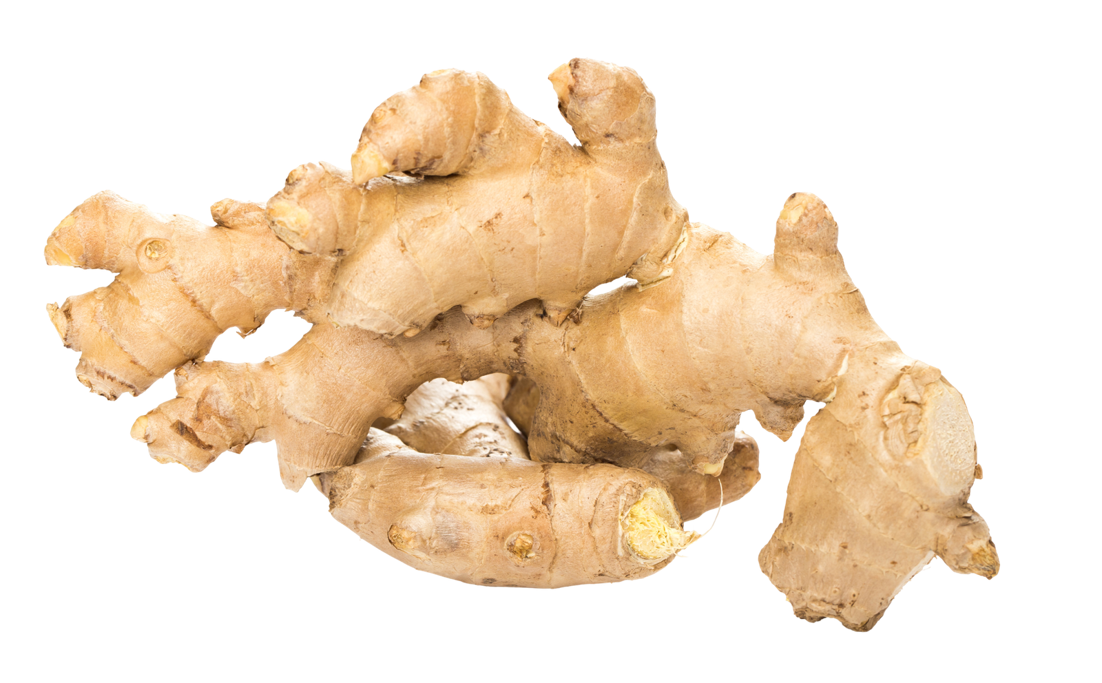 Ginger