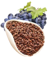 Grape Seed
