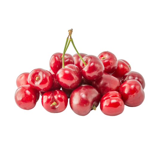 Himalayan Cherry